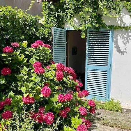 Casa Ortensia A Appartamento Gonnesa